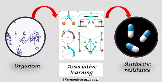 Graphical Abstract